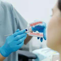 Ortodonta pokazuje pacjentowi model szczęki z aparatem i mikroimplantami ortodontycznymi, wyjaśniając, czy boli.
