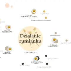Rumianek na zęby? Nie, ale łagodzi stany zapalne błon śluzowych, pomaga przy refluksie i uspokaja. Działa na wiele układów.