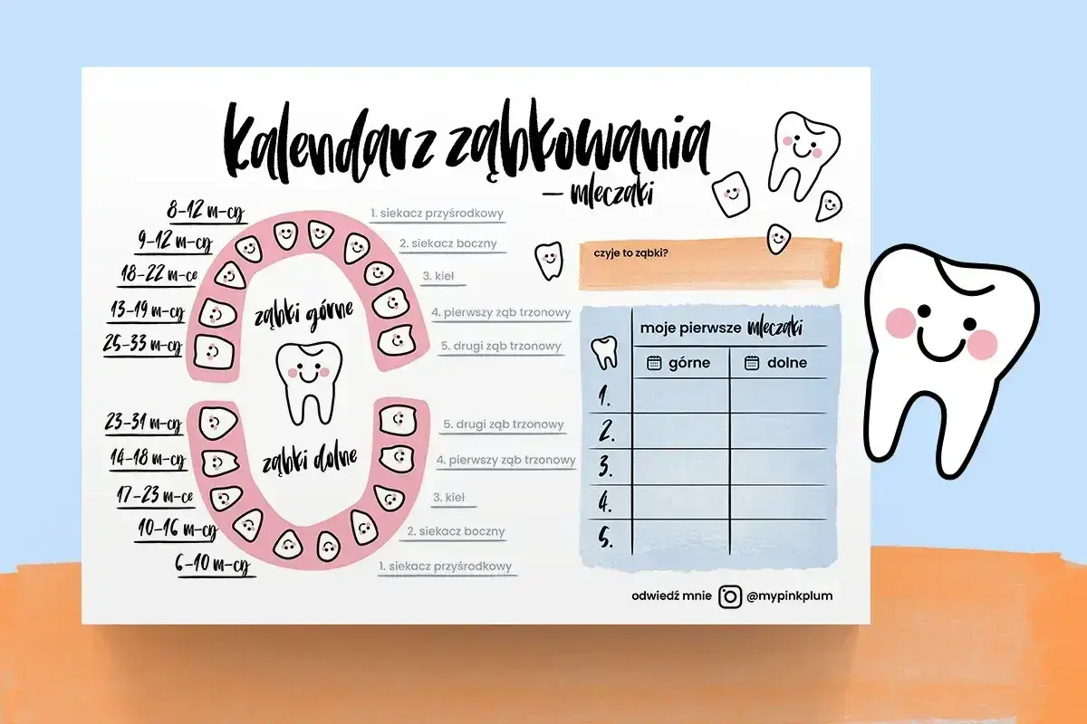 Kalendarz ząbkowania mleczaków. Pomaga śledzić, jak liczyć zęby, kiedy wyrzynają się pierwsze ząbki.