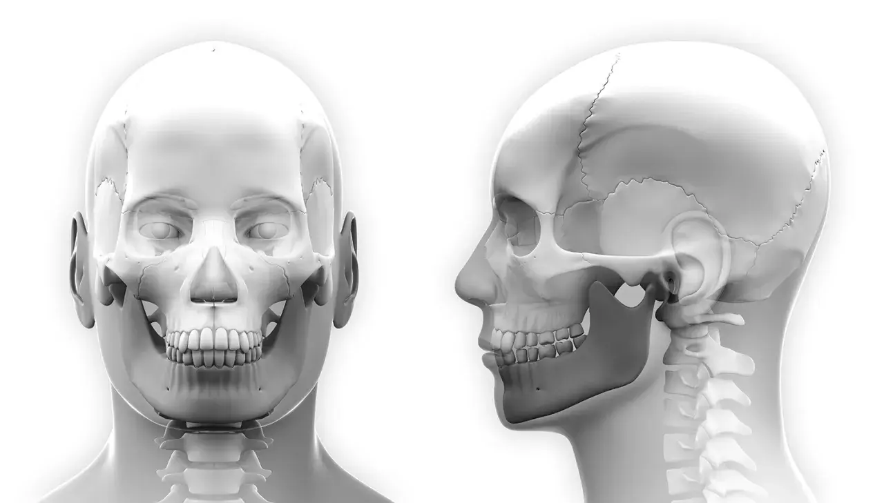 Anatomia czaszki z widokiem z przodu i z boku, uwzględniająca staw skroniowo-żuchwowy, kluczowy dla zastrzyków w staw skroniowo-żuchwowy.